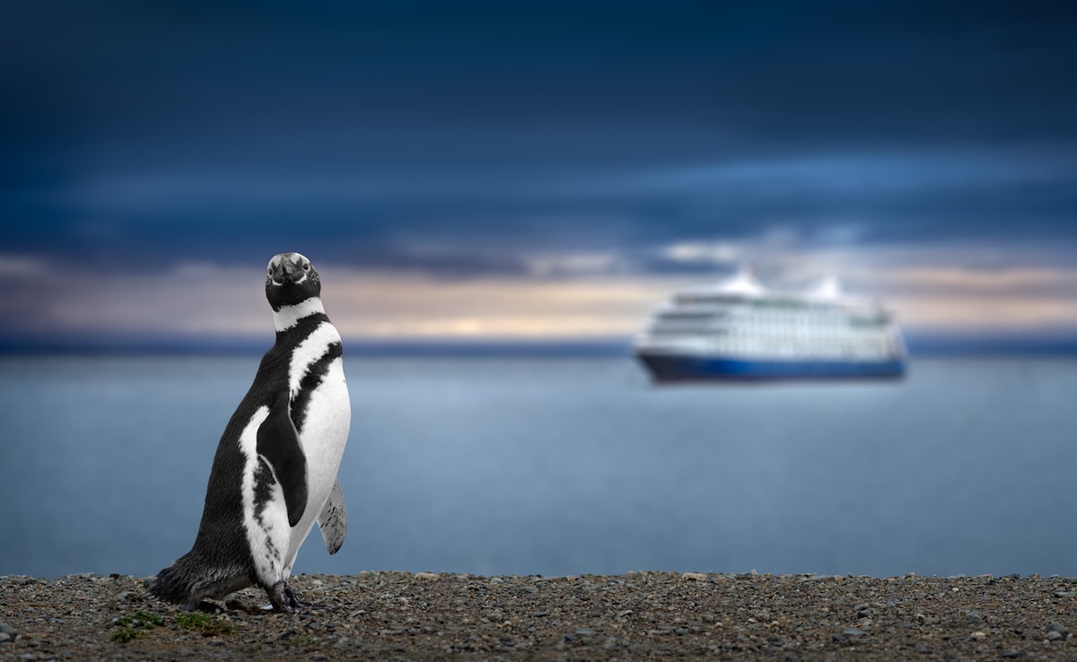Photo: iStock Photo: iStock