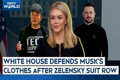 White House Press Secretary Defends Musk's Clothes After Zelensky Suit Row White House Press Secretary Defends Musk's Clothes After Zelensky Suit Row