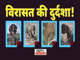 Sanchi: विरासतें बेहाल! सांची में बिखरी पड़ी हैं बेशकीमती पुरासंपदा, धरोहरों के संरक्षण पर उठे सवाल Sanchi: विरासतें बेहाल! सांची में बिखरी पड़ी हैं बेशकीमती पुरासंपदा, धरोहरों के संरक्षण पर उठे सवाल