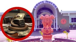 &lsquo;सांप फर्जी था या आदमी?&rsquo; मौत के आंकड़ों में  &lsquo;नागलोक&rsquo; से आगे बिलासपुर, अधिकारियों ने कर दी करोड़ों की हेराफेरी!