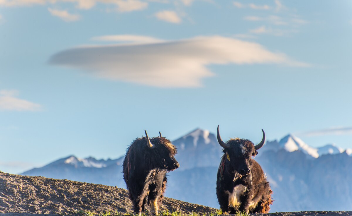  проходи на високата надморска височина на долината Spiti. Снимка: istock 