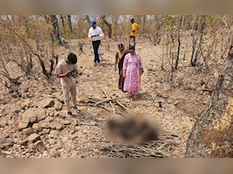 मादा भालू और बच्चे का संदिग्ध हाल में मिला शव, वन विभाग की सुरक्षा पर उठे फिर सवाल