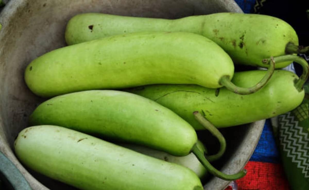 लो कैलोरी और पोषण का भंडार, वेट लॉस से लेकर दिल और पाचन तक, जानें कैसे शरीर को अंदर से मजबूत बनाती है लौकी