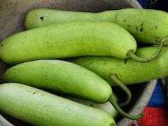 लो कैलोरी और पोषण का भंडार, वेट लॉस से लेकर दिल और पाचन तक, जानें कैसे शरीर को अंदर से मजबूत बनाती है लौकी