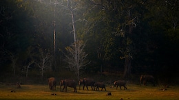 7 Offbeat Weekend Getaways From Bengaluru For Your Next Escape