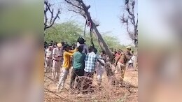 Rajasthan: शादीशुदा चाचा और भतीजी को हुआ प्यार, एक कपड़े से पेड़ पर फंदा लगाकर किया सुसाइड