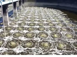 50 साल से प्रदूषण की मार झेल रहा राजस्थान का ये जिला, पानी जहरीली... खेत हो चुके हैं बंजर 50 साल से प्रदूषण की मार झेल रहा राजस्थान का ये जिला, पानी जहरीली... खेत हो चुके हैं बंजर