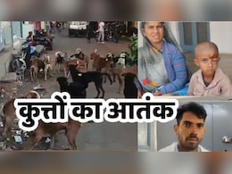 यहां 50 कुत्ते झुंड में करते हैं हमला, दहशत की वजह से बच्चे  स्कूल जाने और खेलने से खाते हैं खौफ