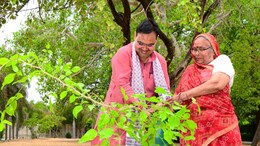 राजस्थान में इस साल लगाए जाएंगे 10 करोड़ पौधे, सीएम भजनलाल शर्म ने रखा लक्ष्य