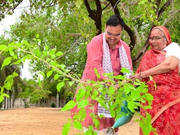 राजस्थान में इस साल लगाए जाएंगे 10 करोड़ पौधे, सीएम भजनलाल शर्म ने रखा लक्ष्य