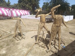 होलिका दहन में पर्यावरण संरक्षण का संदेश, 100 पेड़ों को बचाने के लिए किया जाएगा यह काम