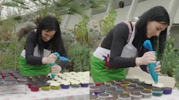 Baker Sets Guinness World Record For Icing 66 Cupcakes In Three Minutes, Internet Reacts