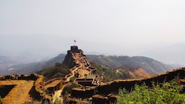 Shivaji Maharaj's birth anniversary : आज शिवरायांची 395 वी जयंती, शिवनेरीवर जाण्यासाठी वनविभागाकडून बंदी; कारण काय?
