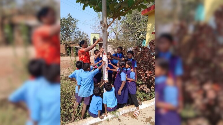 छत्तीसगढ़ में बच्चों ने पेड़-पौधों को लगाए गुलाल, कहा - होली पर न लगाएं केमिकल वाले रंग