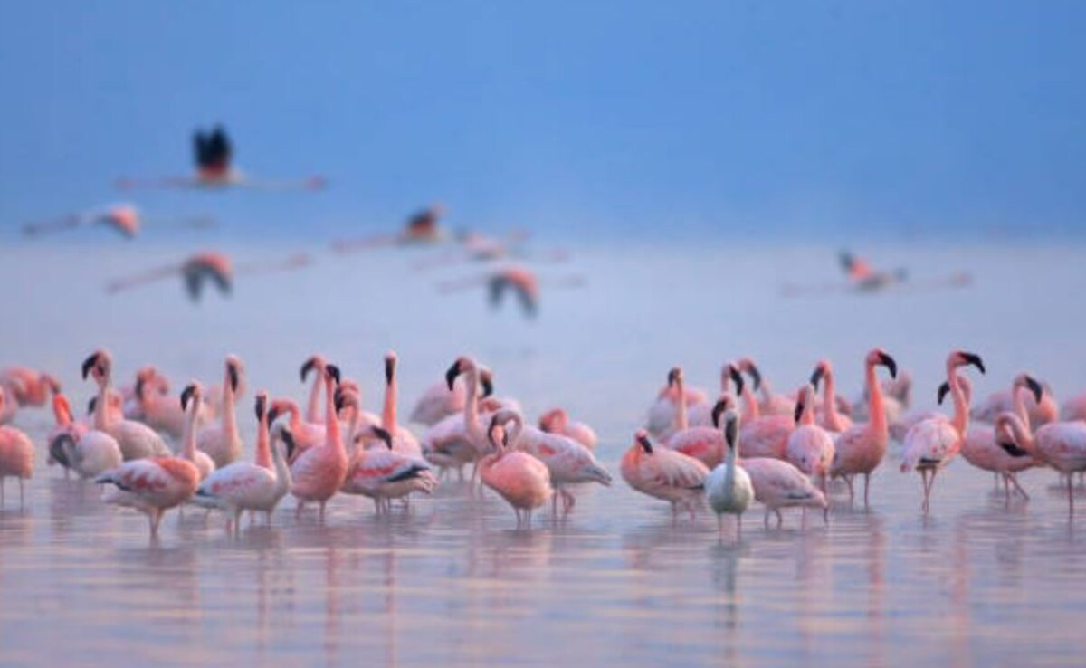 Latest and Breaking News on NDTV Latest and Breaking News on NDTV