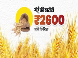 MP Gehu Kharidi 2025: किसान भाईयों! 18-19 अप्रैल को छुट्टी के दिन भी होगी गेहूं खरीदी MP Gehu Kharidi 2025: किसान भाईयों! 18-19 अप्रैल को छुट्टी के दिन भी होगी गेहूं खरीदी