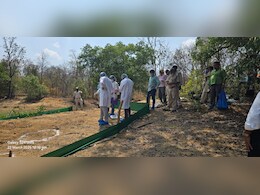 बालोद में 27 दिन बाद क्यों निकाला गया जमीन में दफन भालू का शव ? अब जांच रिपोर्ट का इंतजार बालोद में 27 दिन बाद क्यों निकाला गया जमीन में दफन भालू का शव ? अब जांच रिपोर्ट का इंतजार