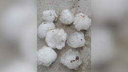 मैहर में बारिश से नुकसान ! यहां पड़े ओले, चना, प्याज, गेहूं की फसलें प्रभावित