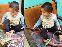 रील बनाने के चक्कर में छोटे बच्चे पर छोड़ दिया ज़हरीला सांप, देखकर डर से कांप गए लोग, बोले- व्यूज़ के लिए जान से खिलवाड़ रील बनाने के चक्कर में छोटे बच्चे पर छोड़ दिया ज़हरीला सांप, देखकर डर से कांप गए लोग, बोले- व्यूज़ के लिए जान से खिलवाड़