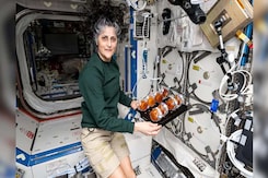Sunita Williams One Step Closer To Homecoming, Crucial Docking Today Sunita Williams One Step Closer To Homecoming, Crucial Docking Today