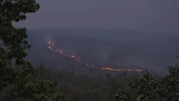 Forest Fire News: मरवाही वन मंडल में भीषण आग, दुर्गम पहाड़ियों में फैलती लपटें...