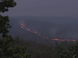 Forest Fire News: मरवाही वन मंडल में भीषण आग, दुर्गम पहाड़ियों में फैलती लपटें...