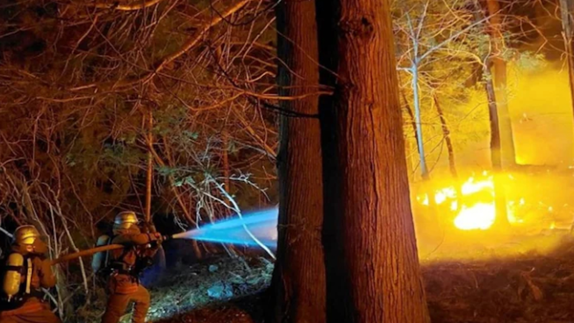 Wildfires Damage Homes In Western Japan, Force Residents To Evacuate