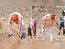 Sidhi : होली के दिन सांसद ने जाकर काटी गांव की फसल, इसके पीछे की वजह छू लेगी दिल