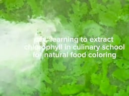 DIY Chlorophyll: This Video On Natural Food Colouring Has Everyone's Attention