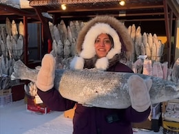 Watch: World's Coldest Market In City Where Temperature Goes Down To -60 Degrees In Winters Watch: World's Coldest Market In City Where Temperature Goes Down To -60 Degrees In Winters