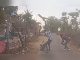 भतीजों ने बुजुर्ग को बीच रोड पर जमकर पीटा, निकलती रही चीखें, नहीं आया कोई बचाने; गई जान