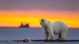 6 Places On Earth Where The Sun Never Sleeps