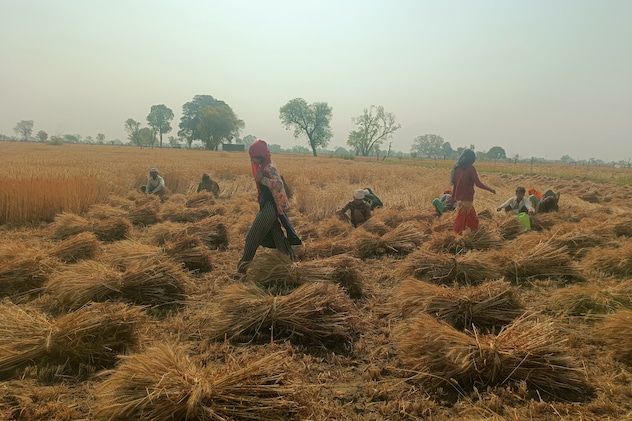 Latest and Breaking News on NDTV Latest and Breaking News on NDTV