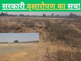 NDTV पड़ताल :  34 लाख रुपये खर्च करके हजारों पेड़ लगाने का किया गया था दावा, लेकिन अब सिर्फ उड़ रही धूल 