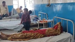 Rajasthan: खेतों में काम कर रहे मजदूरों पर मधुमक्खियों का हमला, महिला-बच्चे समेत एक दर्जन से ज्यादा बुरी तरह घायल