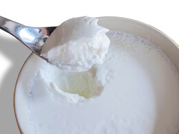 जमाना है दही तो आजमा लें यह ट्रिक, Curd को स्टोर करने का तरीका भी जानें यहां जमाना है दही तो आजमा लें यह ट्रिक, Curd को स्टोर करने का तरीका भी जानें यहां
