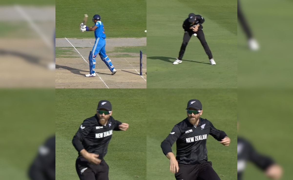 हार्दिक पंड्या के झन्नाटेदार शॉट पर बंदर की तरह उछलने लगे केन विलियमसन