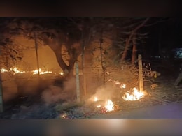 Balodabazar: आधीरात को कलेक्टर बंगला के पास लगी भीषण आग, काबू पाने में दमकल कर्मियों के छूटे पसीने 