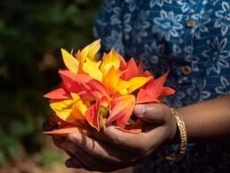 पलाश के फूलों से बनाएं घर पर गुलाल, इस रंग से होली खेलने पर स्किन को मिलेंगे फायदे  पलाश के फूलों से बनाएं घर पर गुलाल, इस रंग से होली खेलने पर स्किन को मिलेंगे फायदे