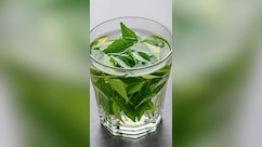 इन 9 लोगों के लिए वरदान से कम नहीं है करी पत्ते के पानी का सेवन, फायदे जान से ही शुरू कर देंगे पीना