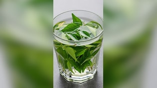 इन 9 लोगों के लिए वरदान से कम नहीं है करी पत्ते के पानी का सेवन, फायदे जान से ही शुरू कर देंगे पीना