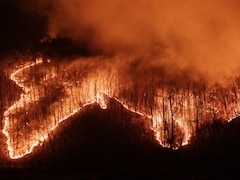 Strong Winds, Dry Weather, Haze: South Korea Struggles To Contain Wildfire