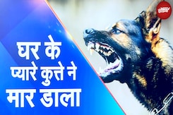 Kanpur Dog Attack: पालतू कुत्ते का खूनी हमला, बुजुर्ग मालकिन को नोच-नोचकर उतारा मौत के घाट | UP News Kanpur Dog Attack: पालतू कुत्ते का खूनी हमला, बुजुर्ग मालकिन को नोच-नोचकर उतारा मौत के घाट | UP News