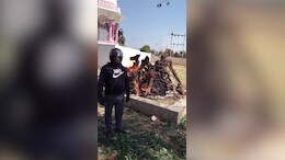 सीकर में मधुमक्खियों के हमले से हड़कंप, हेलमेट पहनकर अंतिम संस्कार करने पहुंचे लोग