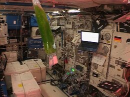 NDTV Exclusive: बायो फार्मिंग, मसल लॉस… भारत के अंतरिक्ष यात्री शुभांशु शुक्ला स्पेस में करेंगे ये एक्सपेरिमेंट NDTV Exclusive: बायो फार्मिंग, मसल लॉस… भारत के अंतरिक्ष यात्री शुभांशु शुक्ला स्पेस में करेंगे ये एक्सपेरिमेंट