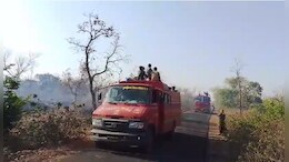 राहत : नीमच के जंगल में लगी थी भयानक आग,&nbsp;5 घंटे की कड़ी मशक्कत के बाद पाया गया काबू