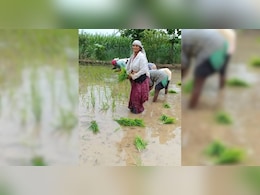 पति DSP,  फिर भी खेती को क्यों बनाई पहचान, कौन हैं लाखों कमाने वाली अदिति कश्यप ? पति DSP,  फिर भी खेती को क्यों बनाई पहचान, कौन हैं लाखों कमाने वाली अदिति कश्यप ?