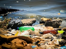 Garbage Reaches Mediterranean's Deepest Point At 16,770 Feet Garbage Reaches Mediterranean's Deepest Point At 16,770 Feet