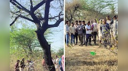 चित्तौड़गढ़ में पेड़ से लटका मिला युवक-युवती का शव, मृतक के जेब से मिली गेस्ट हाउस की पर्ची और आधारकार्ड