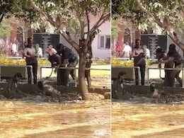 कॉलेज की होली का ऐसा Video देख आ जाएगा गुस्सा, लड़कियों को कीचड़ में फेंकते दिखे छात्र कॉलेज की होली का ऐसा Video देख आ जाएगा गुस्सा, लड़कियों को कीचड़ में फेंकते दिखे छात्र